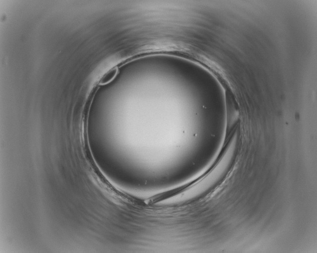 X0000070881179200606191307