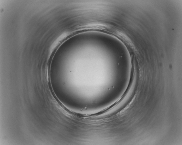 X0000070881180200606191307