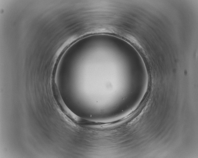 X0000070881181200606191307