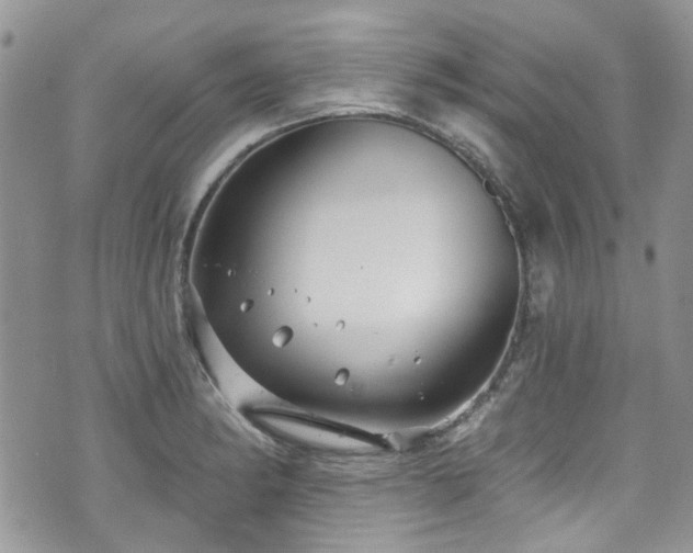 X0000070881182200606191307