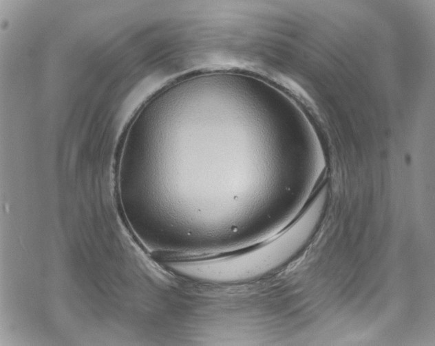 X0000070881183200606191307