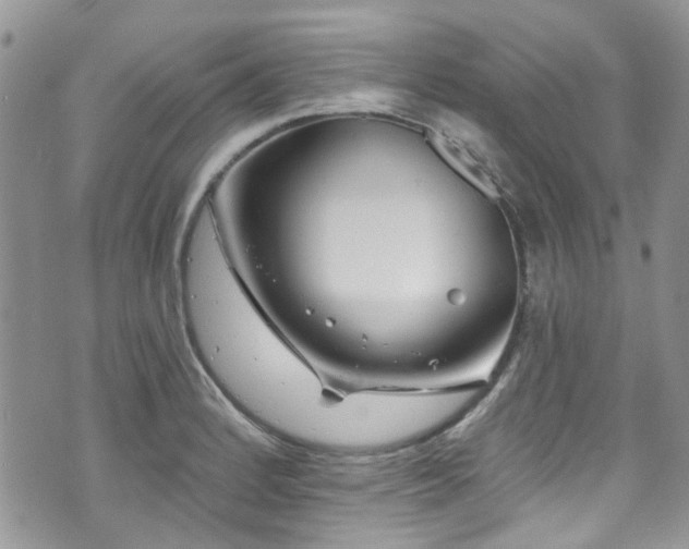 X0000070881184200606191307