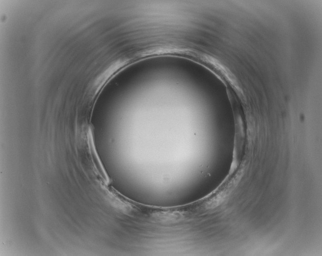 X0000070881185200606191307