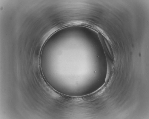 X0000070881186200606191307