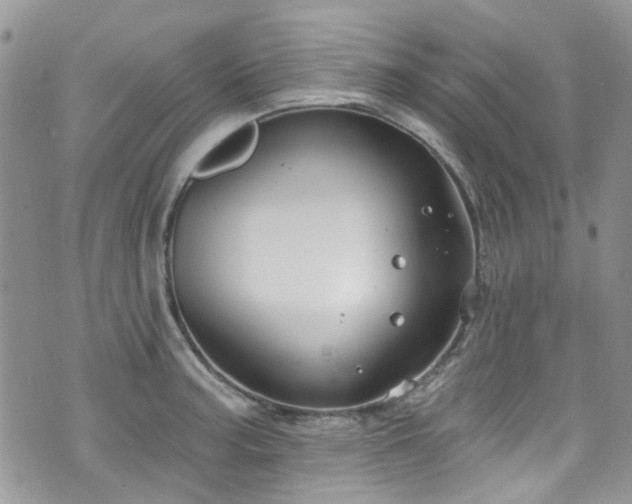 X0000070881187200606191307