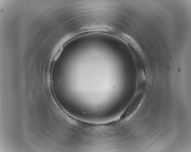 X0000070881188200606191307