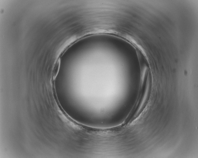 X0000070881189200606191307