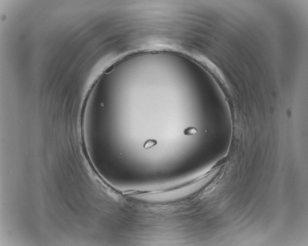 X0000070881191200606191307