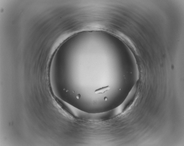 X0000070881192200606191307