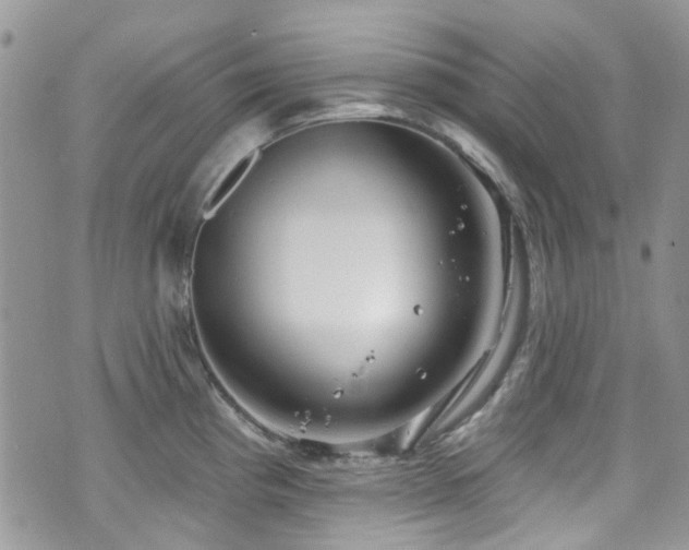 X0000070881193200606191307