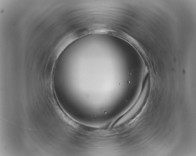 X0000070881194200606191307