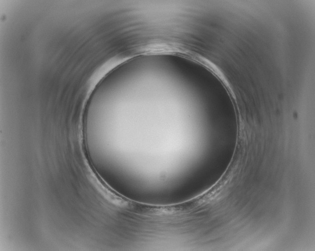 X0000070881195200606191307