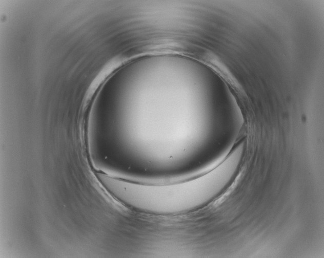 X0000070881196200606191307