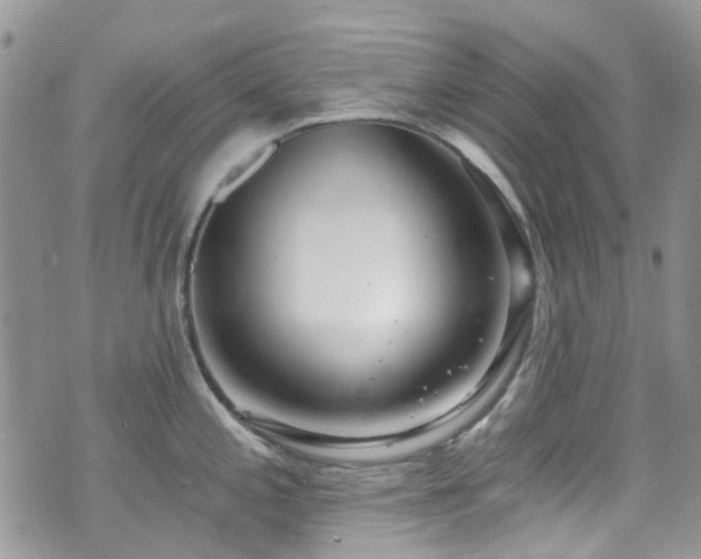 X0000070881197200606191307