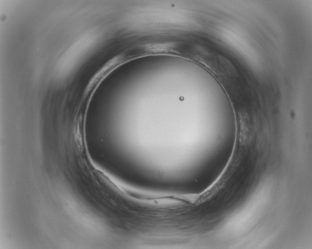 X0000070881198200606191307