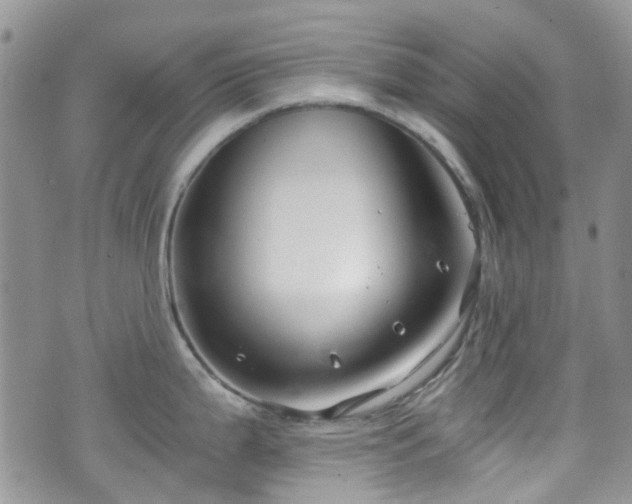 X0000070881199200606191307