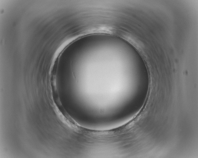 X0000070881200200606191307