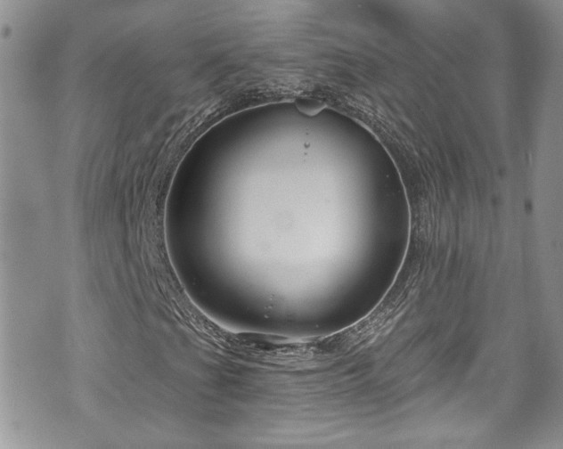 X0000070881201200606191306