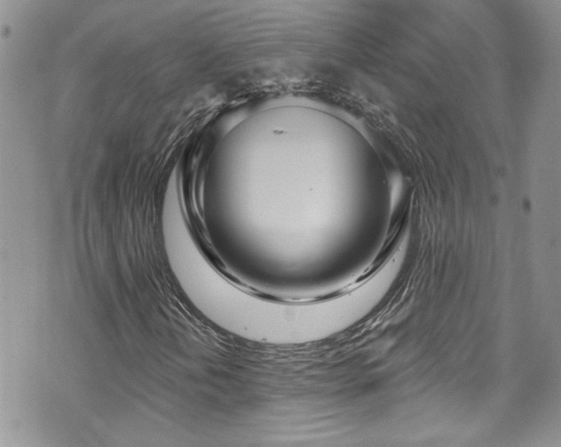 X0000070881202200606191306