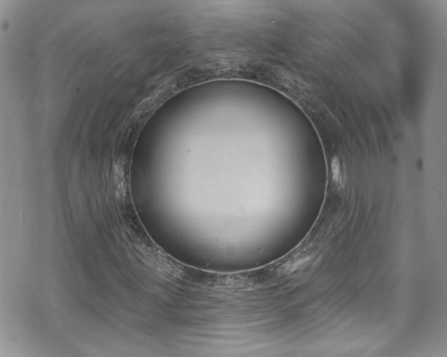 X0000070881203200606191306