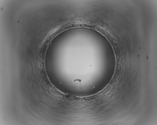 X0000070881207200606191306