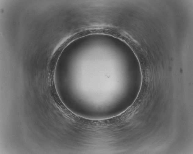 X0000070881208200606191306