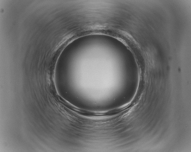 X0000070881209200606191306