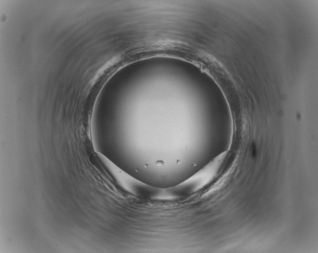 X0000070881210200606191306