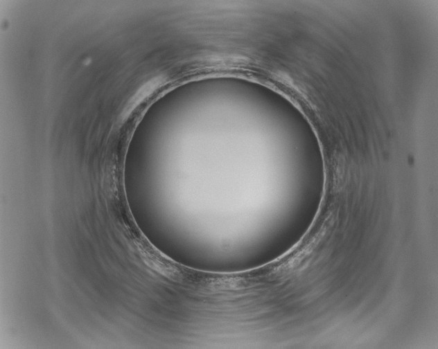 X0000070881211200606191306