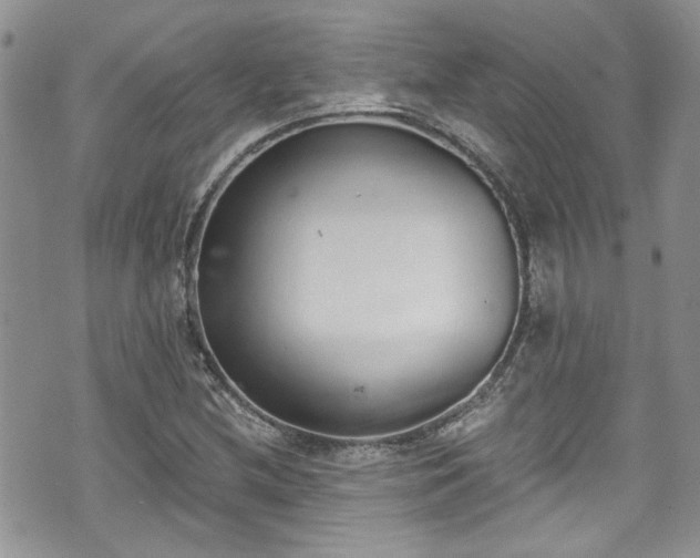 X0000070881212200606191306