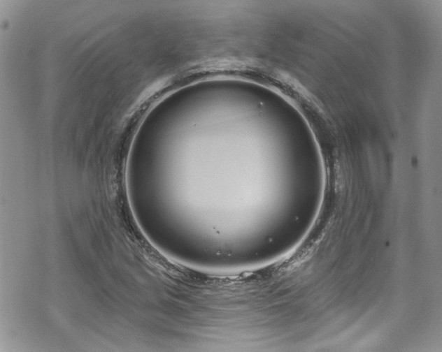 X0000070881213200606191307