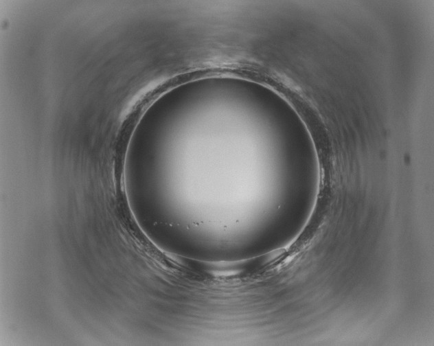 X0000070881214200606191307