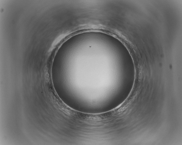 X0000070881215200606191307