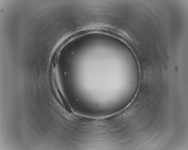 X0000070881216200606191307