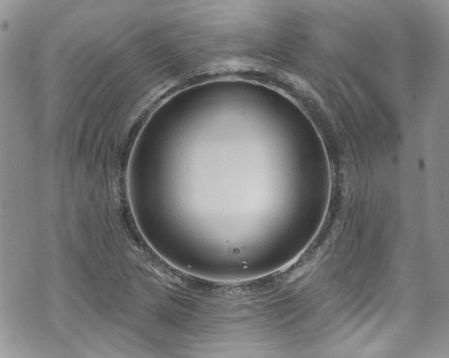 X0000070881217200606191307