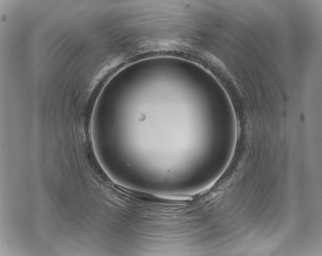 X0000070881218200606191307