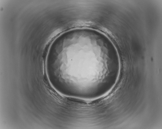 X0000070881219200606191307