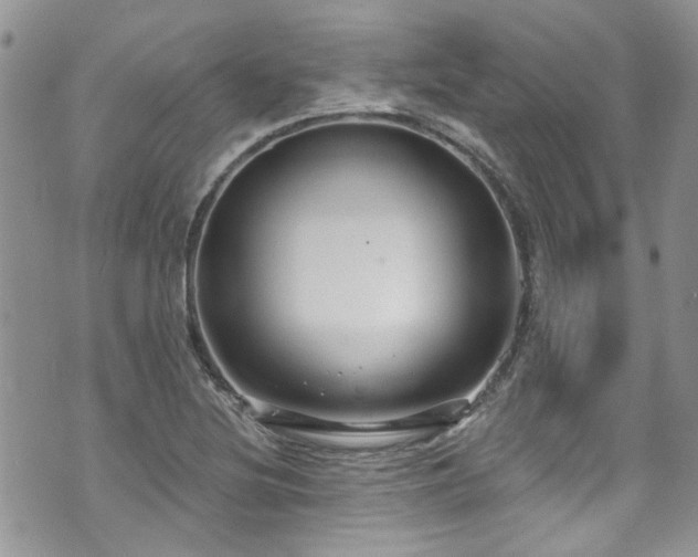 X0000070881220200606191307