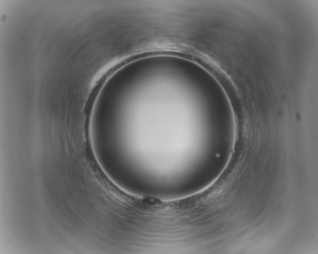 X0000070881222200606191307