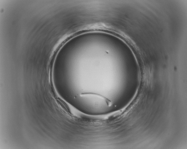 X0000070881224200606191307