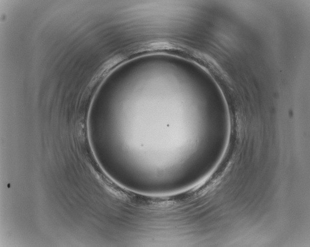 X0000070881225200606191307