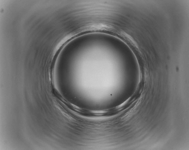 X0000070881226200606191307