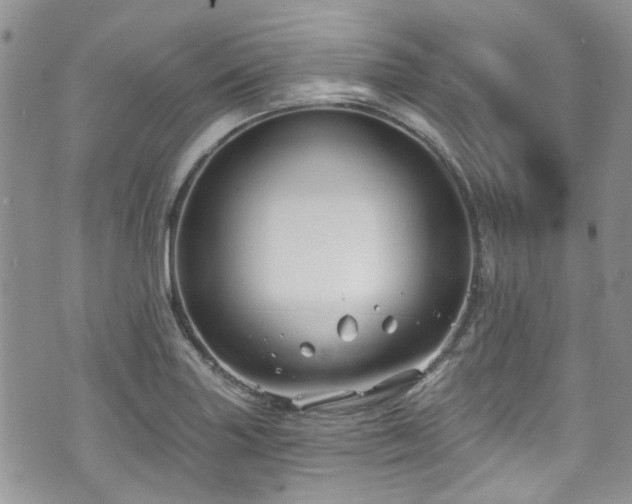 X0000070881227200606191307