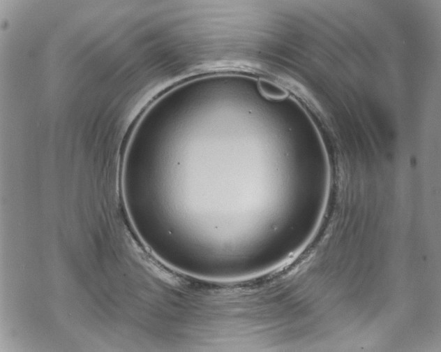 X0000070881228200606191307