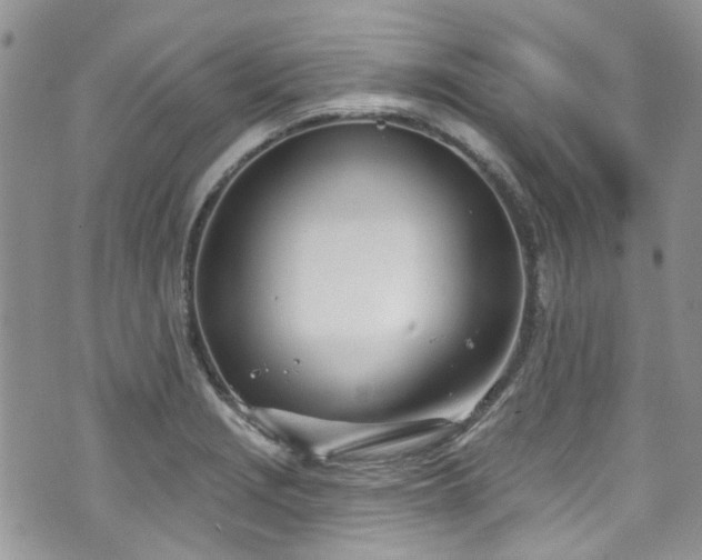 X0000070881229200606191307