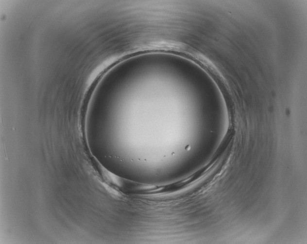 X0000070881230200606191307