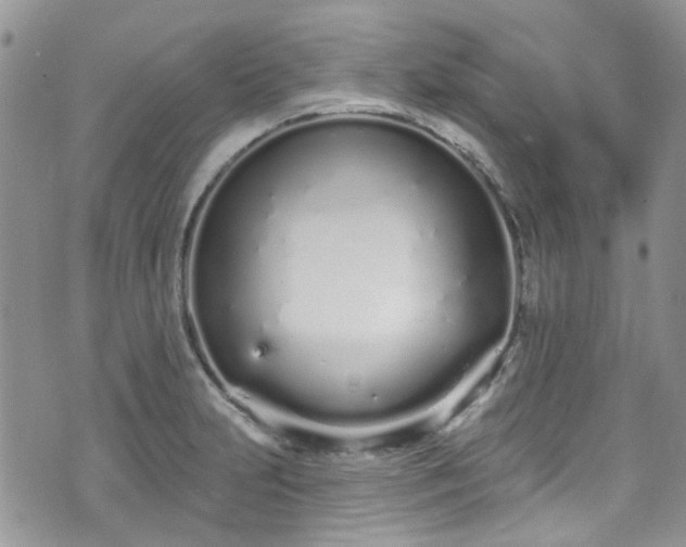 X0000070881231200606191307