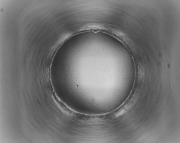 X0000070881233200606191307