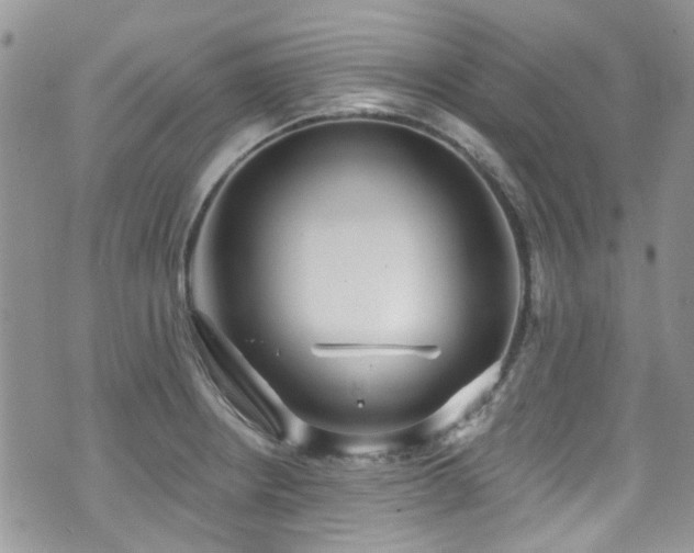 X0000070881234200606191307