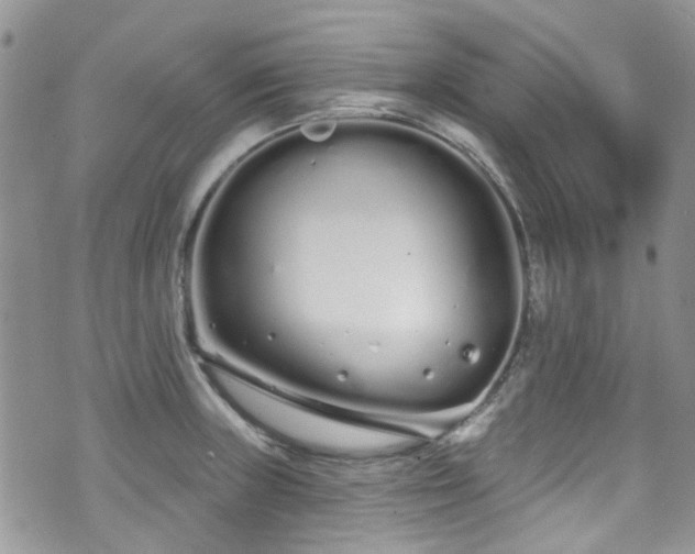 X0000070881235200606191307